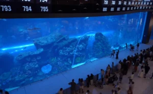 pic of Indoor Aquarium at Dubai Mall
