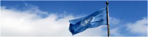 emblem of the United Nations Blue color