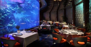 aquarium located with in restaurant Called "Ristorante L'Olivo at Al Mahara"