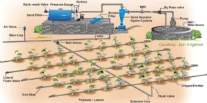 drawing image of drip system for irrigation to save water and cop with water crises