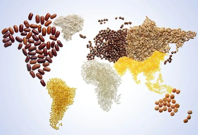 image of world map by grains with white background