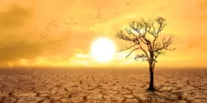 image of droughts earth due to water crises
