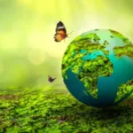 pic of beautiful green world with butterfly: Hi world