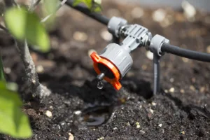 micro-drip-watering save the water