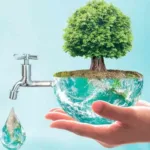 How to Stop Climate Change: Real Solutions for a Shared Future