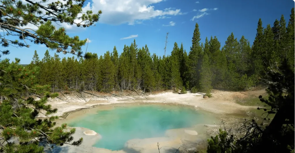 pic of Norris geyser Basin at Yellowstone National Park