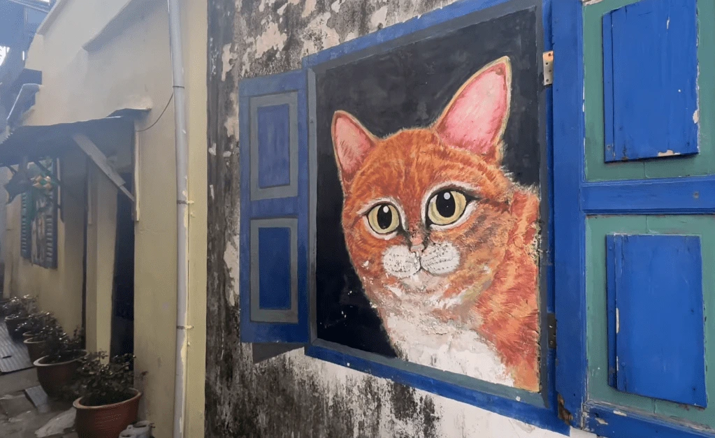 street art cat from window Penang
