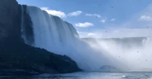 image of waterfall with birds
