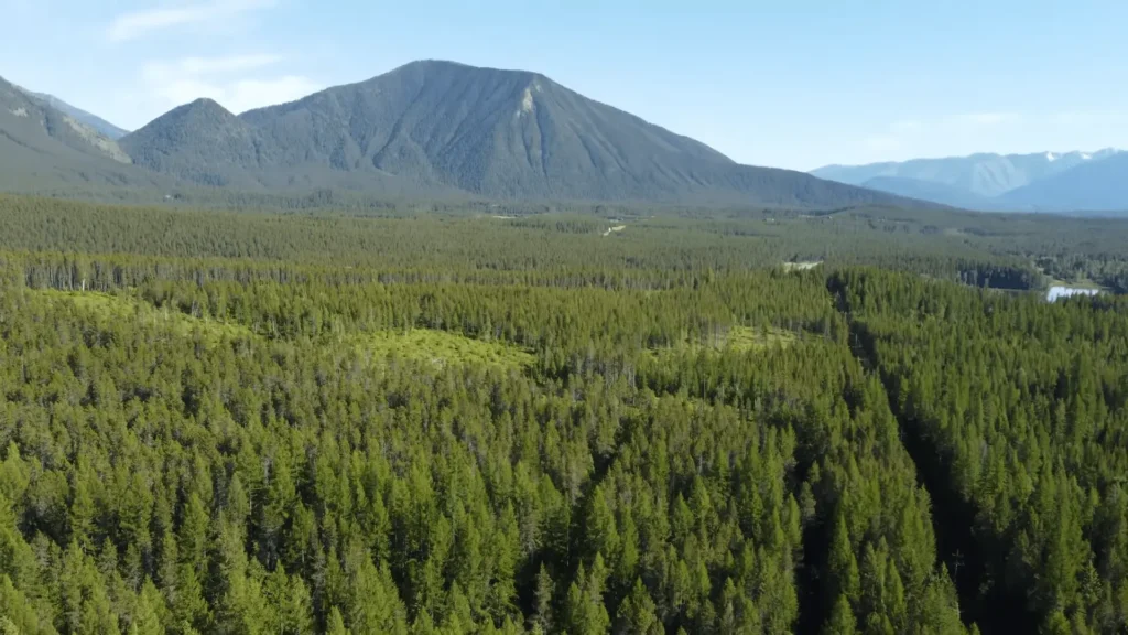 Ariel view of Glacier Campground, West Glacier, Montana