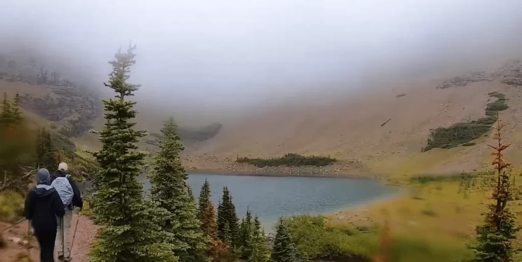 view of fogy mountains greenery of Ptarmigan Tunnel Trail Glacier National Park-min
