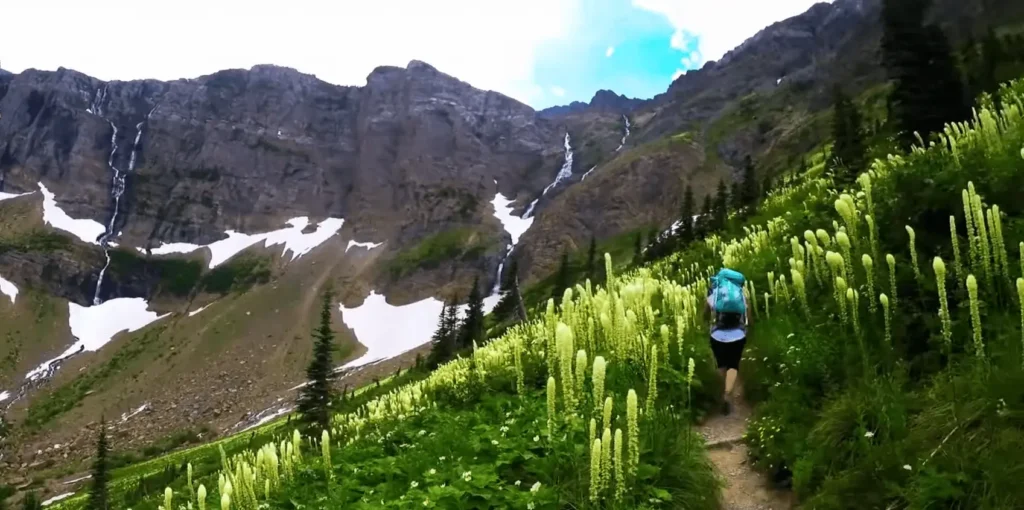 beautiful pic of Swiftcurrent Pass Trail Glacier National Park