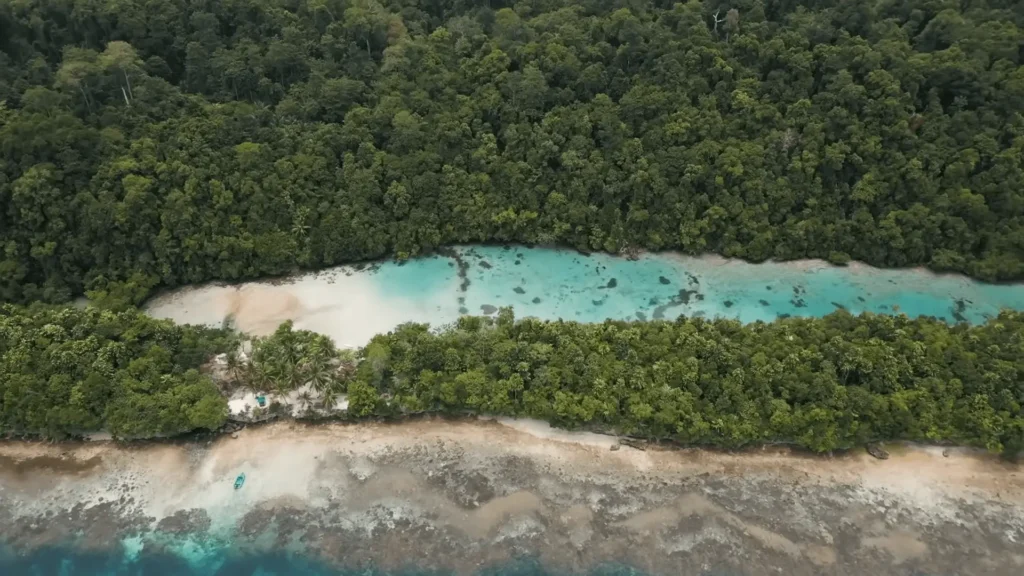 Maratua Island: Your Ultimate Guide to Paradise Diving, Resorts, Turtles 7 pic of Blue Lagoon Kakaban island Maratua