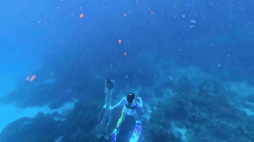 Maratua Island: Your Ultimate Guide to Paradise Diving, Resorts, Turtles 2 pic of Diving at Maratua Island