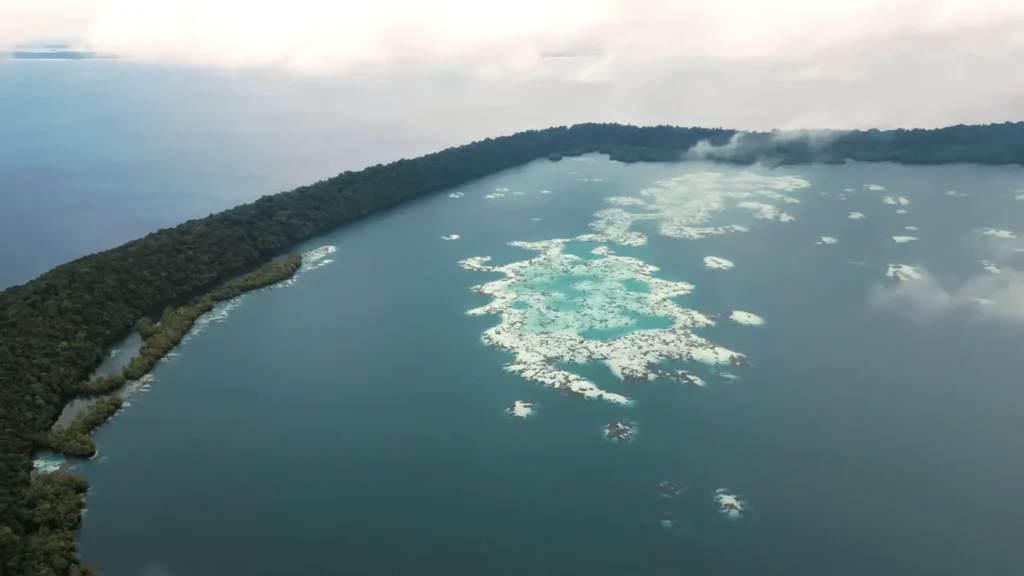 Maratua Island: Your Ultimate Guide to Paradise Diving, Resorts, Turtles 20 pic of INDONESIAS SECRET PARADISE - MARATUA ISLAND