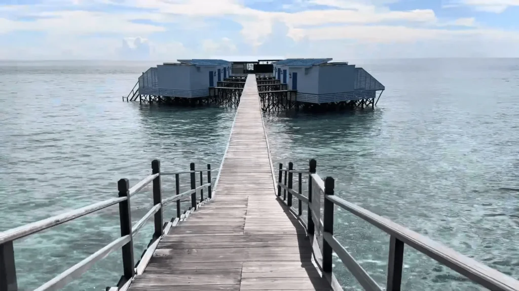 Maratua Island: Your Ultimate Guide to Paradise Diving, Resorts, Turtles 17 pic of Resort Maratua Island