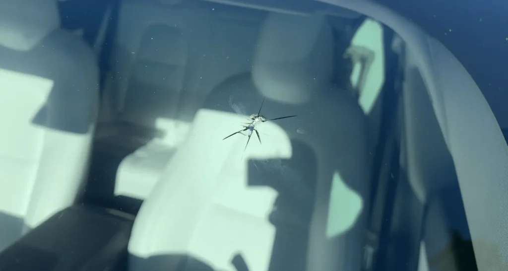 pic of damaged windshield of Tesla