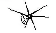 image of star break damage of windshield 