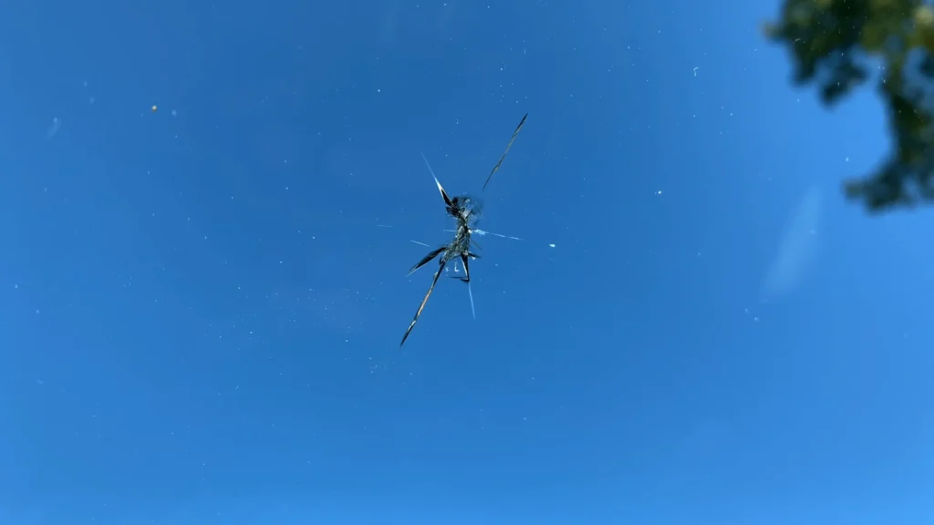 pic of damaged windshield  of tesla