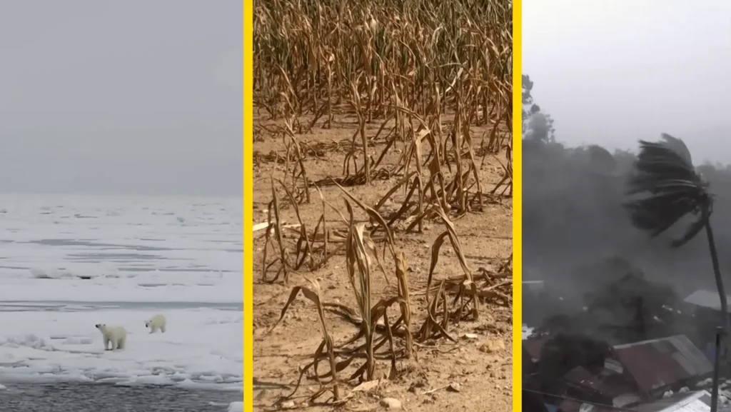 pic of Environmental Degradation and is Climate Change real problems in the world