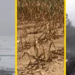 Is Climate Change Real? Separating Myths from Reality