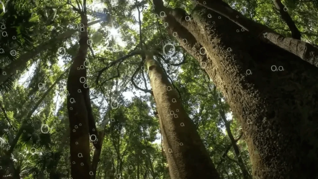 The Impact of Greenhouse Gases on the Atmosphere and Climate: A Comprehensive Guide 5 trees and gases, Gases in atmosphere, Greenhouse gases