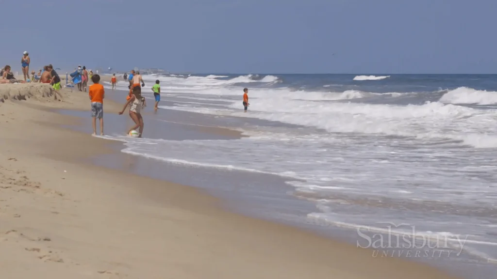 beautiful pic of Salisbury Beach, Things to Do in Salisbury, Maryland