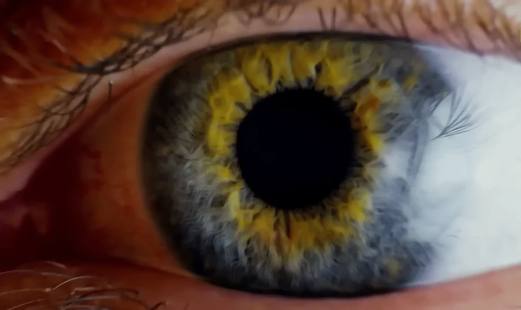What is the Meaning of Life? A Comprehensive Exploration 1 image of eye, meaning of life
