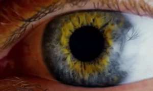 image of eye, meaning of life