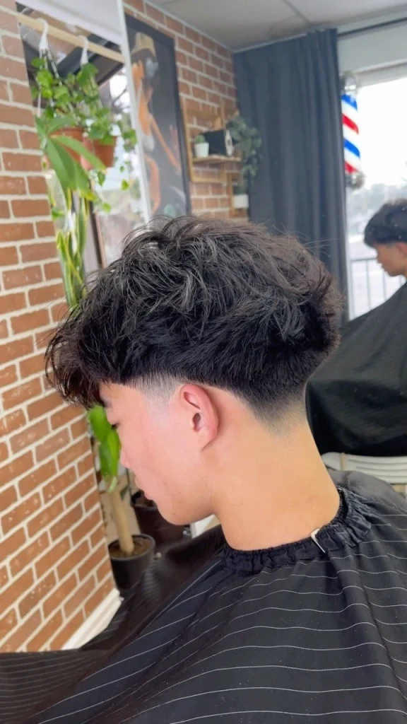 10 Low Taper Fade Fluffy Hair Cuts:Ultimate Guide 2025 17 image of Back Fluffy Hair style, Low Taper Fade Fluffy Hair