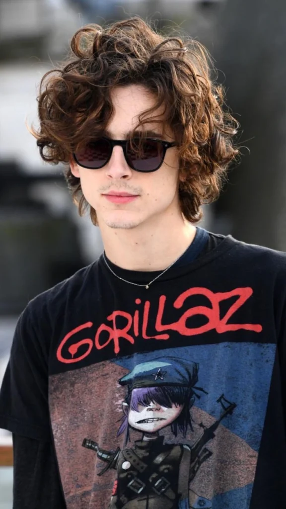 Curly Wolf Cut Men hair styles image