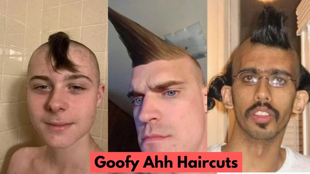 image of Goofy Ahh Haircut