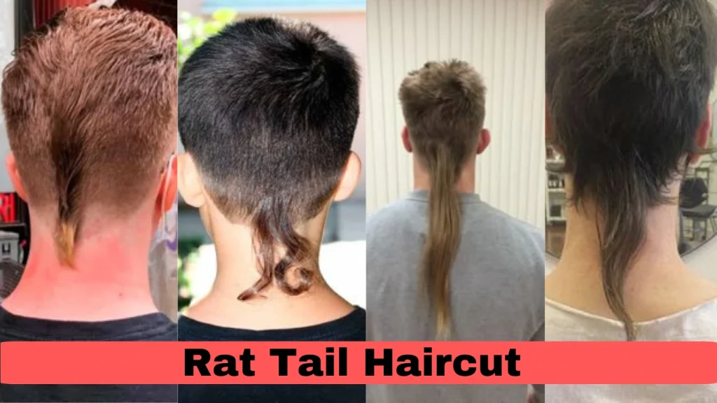 Rat Tail Haircut: The Ultimate Guide (with Images) 1 image of Rat Tail Haircut