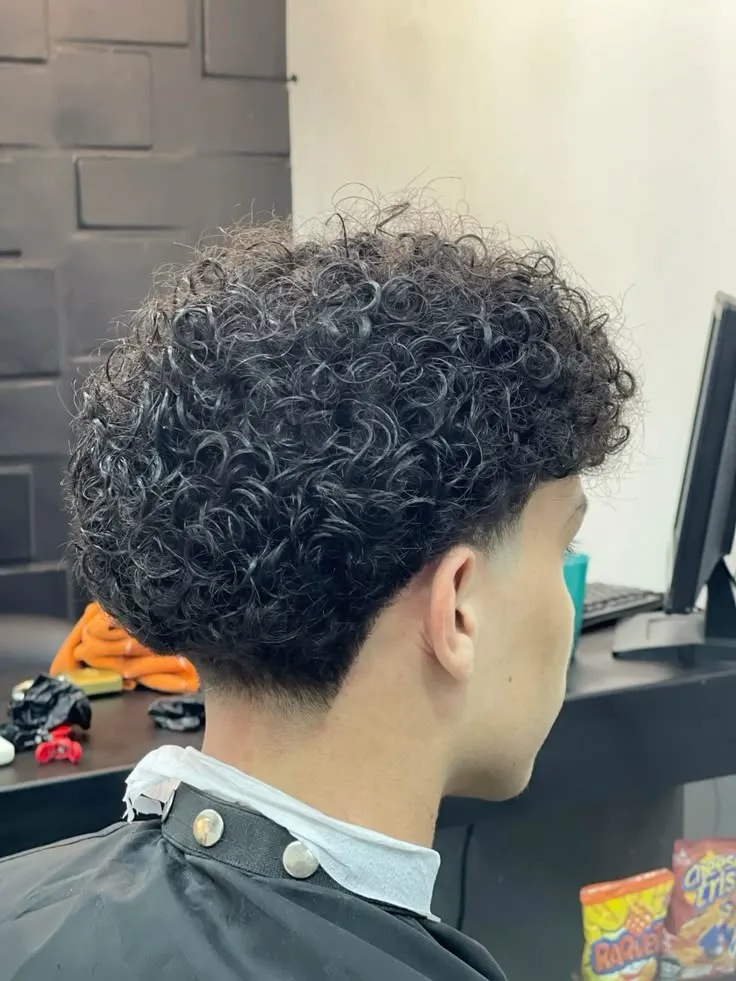 Best Curly Edgar Styles for Men: Short, Medium & Long Curly Hair 6 image of Taper Edgar Haircut for Curly Hair