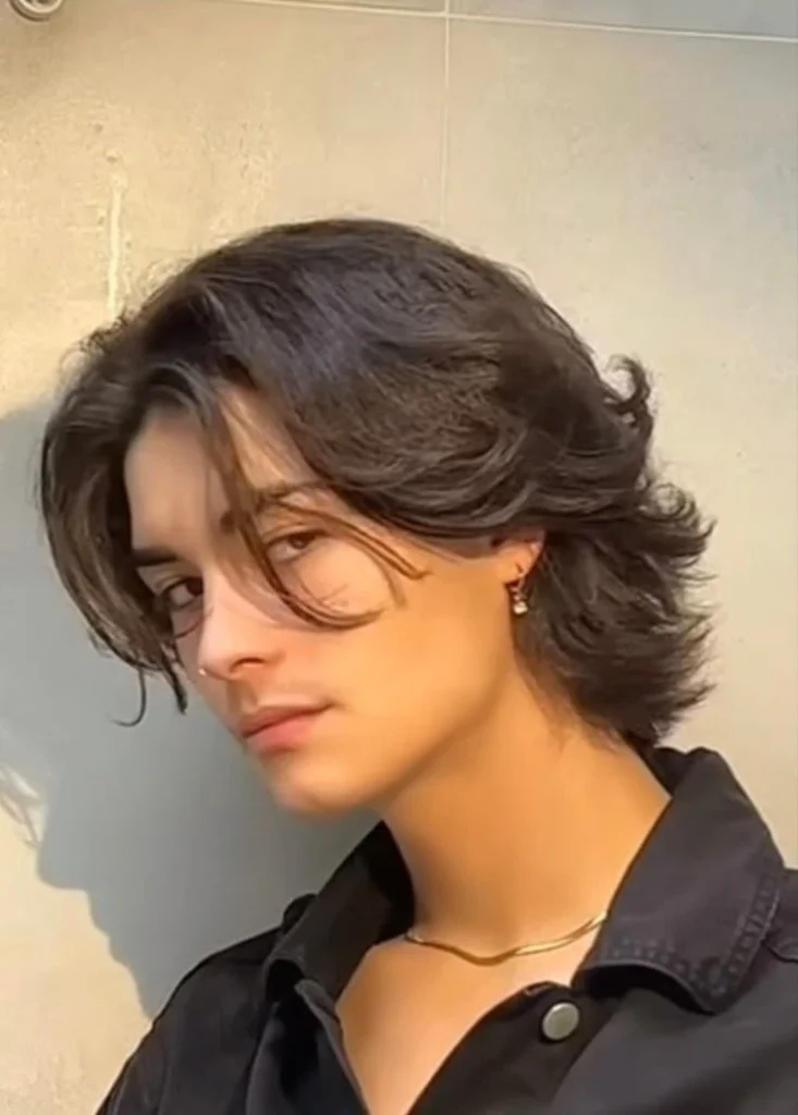 Wolf Cut Men Wavy hair styles image