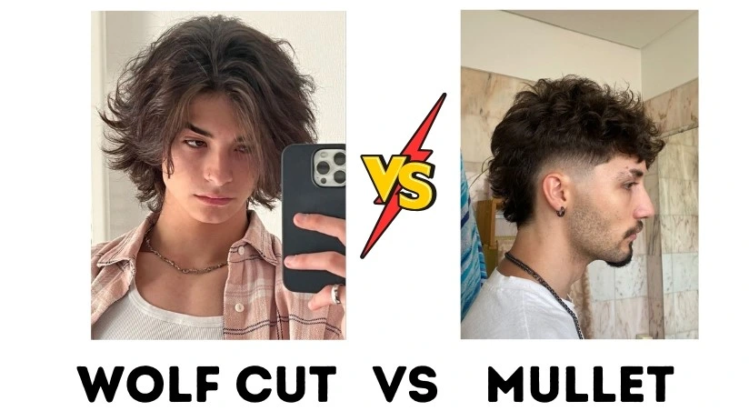 Wolf cut Men vs Mullet Hair style image
