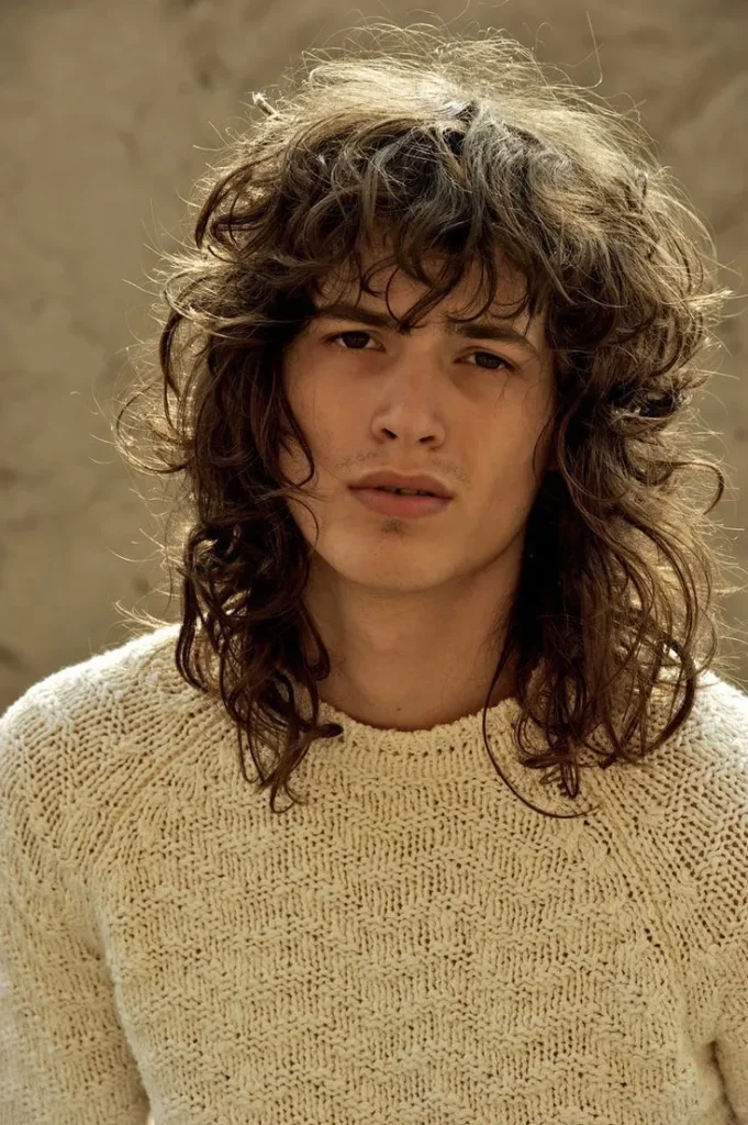 image of 70s Shag Haircut Men