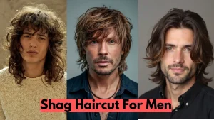 image of Shag Haircut For Men