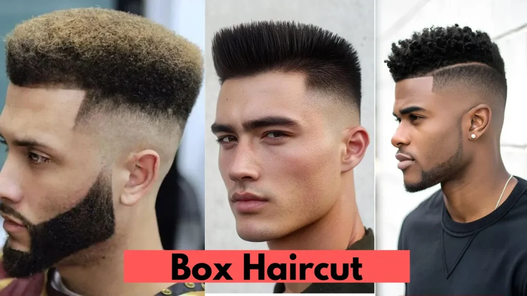 image of Box Haircut