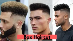 image of Box Haircut