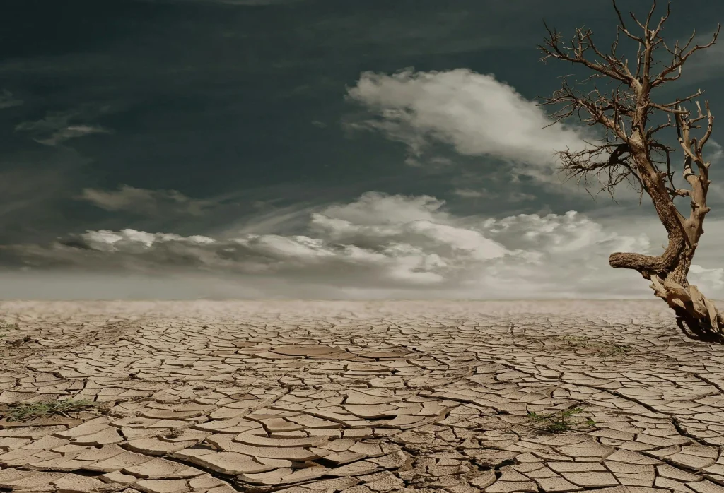 effect of climate change, Why is Climate Change Important