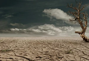 effect of climate change, Why is Climate Change Important